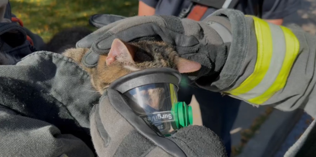 Colorado firefighters rescue 4 cats from garage fire in unincorporated Jefferson County.
