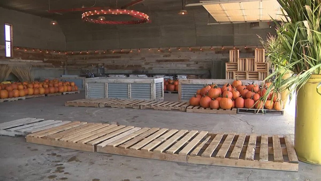 Agritourism is helping Utah farms stay afloat during tough times.