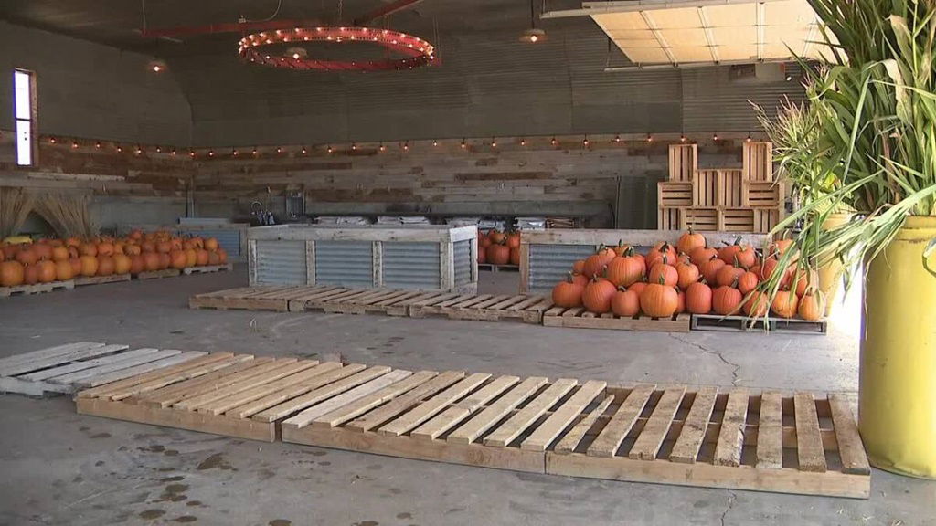 Agritourism helping Utah farms stay afloat during tough times