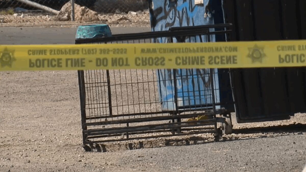 Arrest report reveals man left dog outside in triple-digit heat before dumping crate near dumpster.