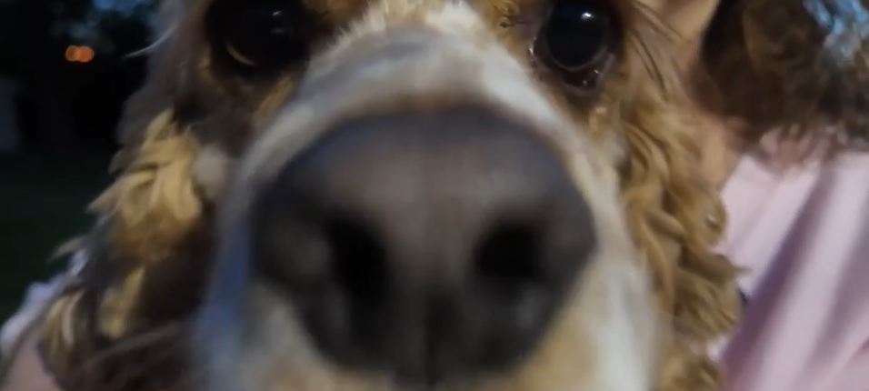 A Philadelphia area woman is breathing a sigh of relief after her dog