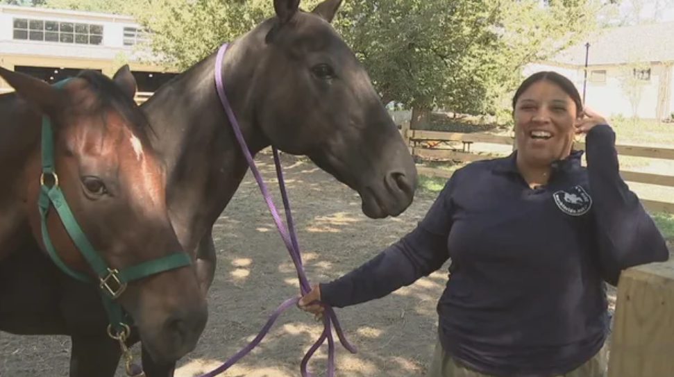 Samantha Rahe Krick holds the bridle leading two horses