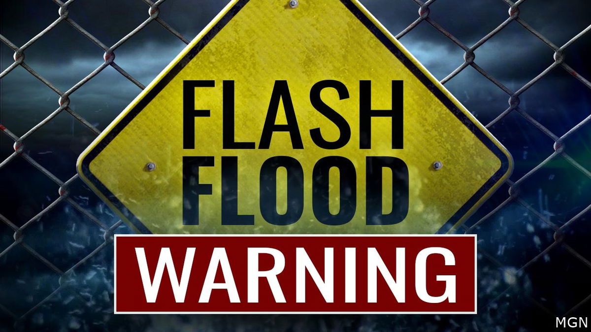 Mudslide reported on Bayhorse Road south of Challis amidst Custer County flash flood warning