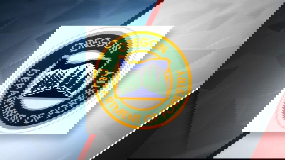 Recent rainfall prompts Oregon Department of Forestry to lower fire danger level