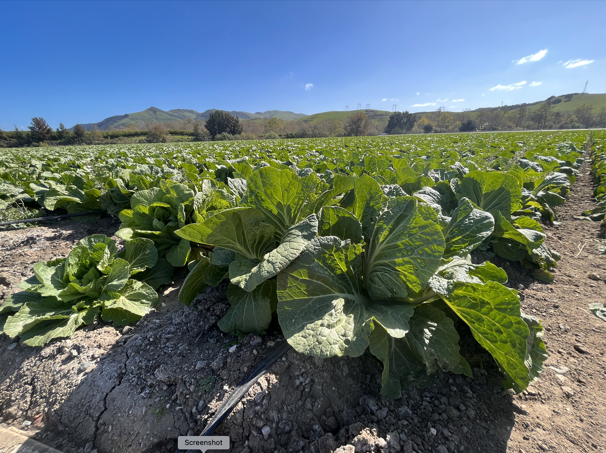 Families Invited to Explore Local Farms at Santa Barbara County Farm Day