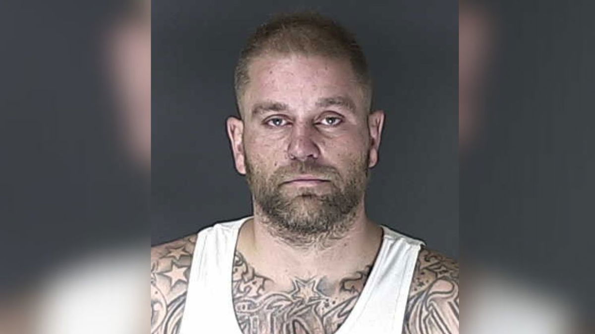 ‘Prolific previous offender’ arrested after alleged home invasion and assault