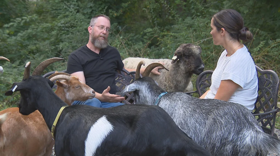 Russ Jennings of Lambscaping RI speaks with WBZ-TV's Juli McDonald.