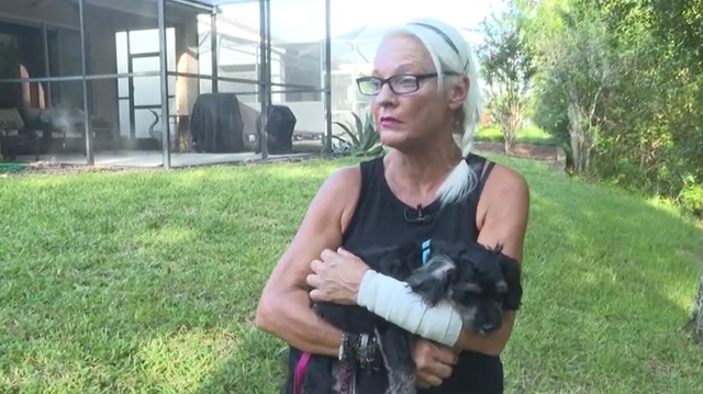 A Florida woman jumped into action after an alligator dragged her puppy during a walk.