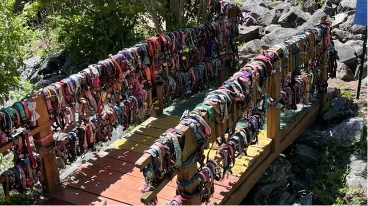 The Rainbow Bridge is a memorial on the Flowering Bridge where pet owners can put their departed dogs' collars and leashes.