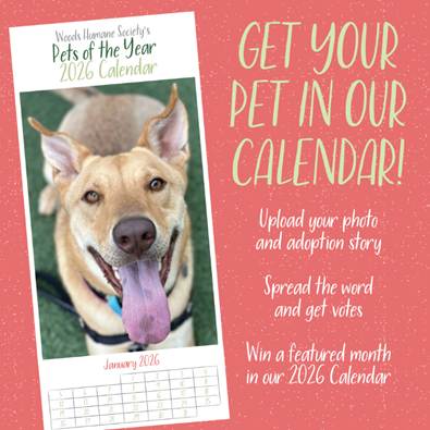 Woods Humane Society Announces 3rd Annual Pets of the Year Calendar Contest