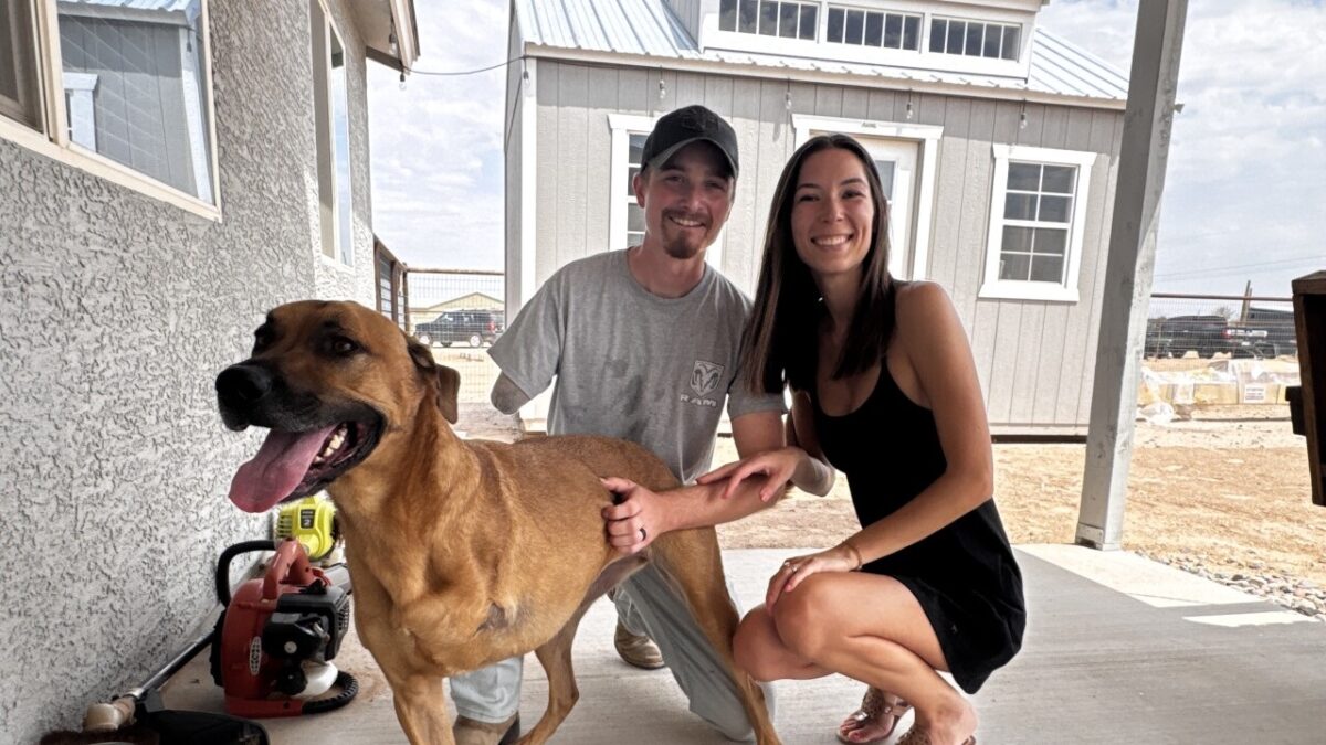 That perfect adopter turned out to be Zack Monticello