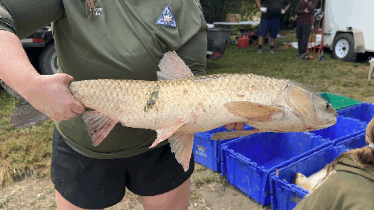According to the Missouri Department of Conservation
