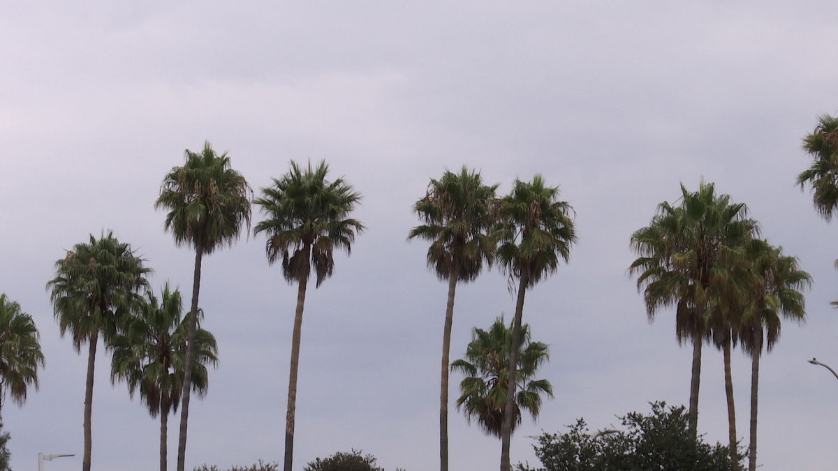 Thunder and Lightning Puts on a Show in SLO County