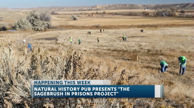 The Natural History Pub presents: The Sagebrush in Prisons Project