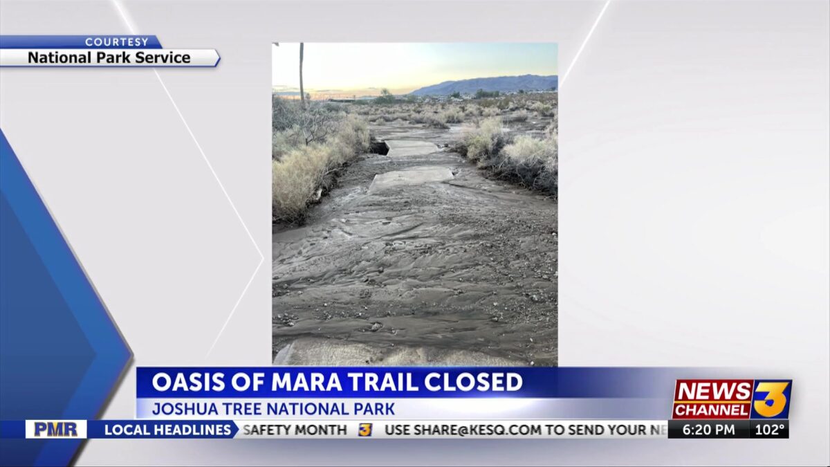 Oasis of Mara trail at Joshua Tree National Park closes because of storm damage