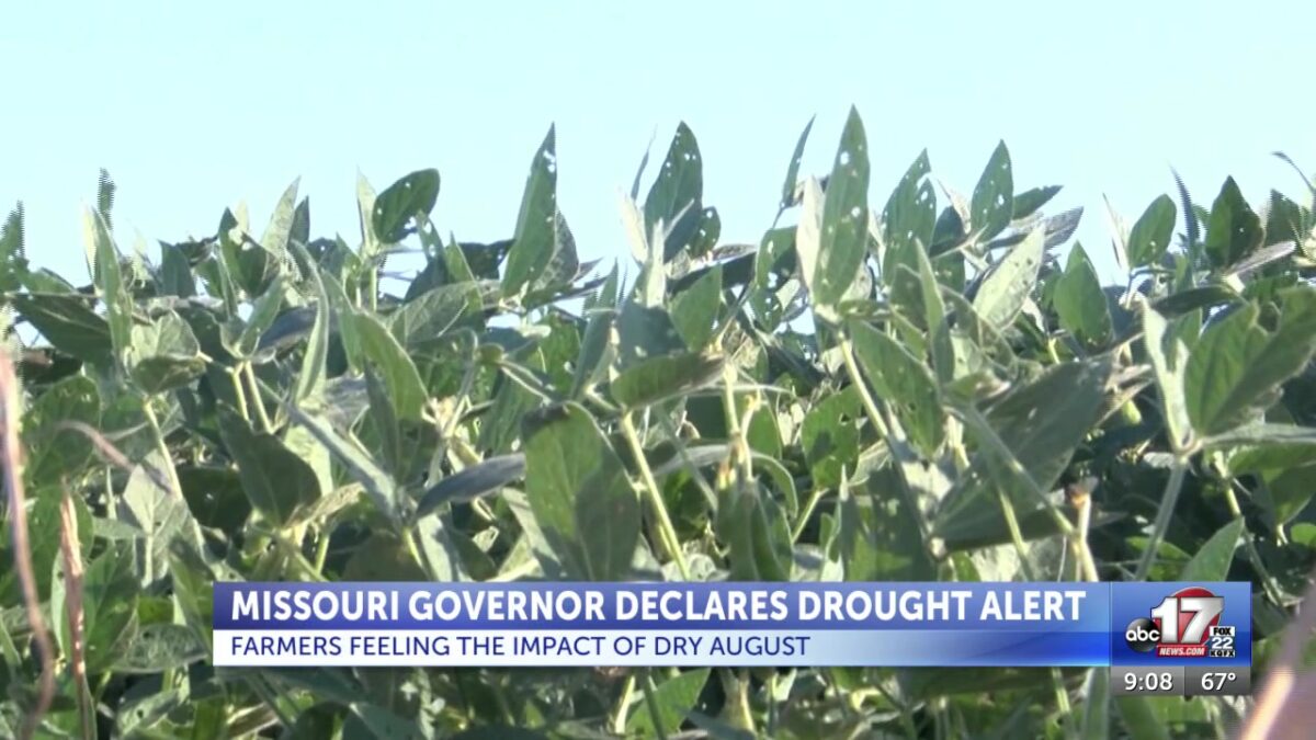 Missouri declares drought alert after farmers face dry summer