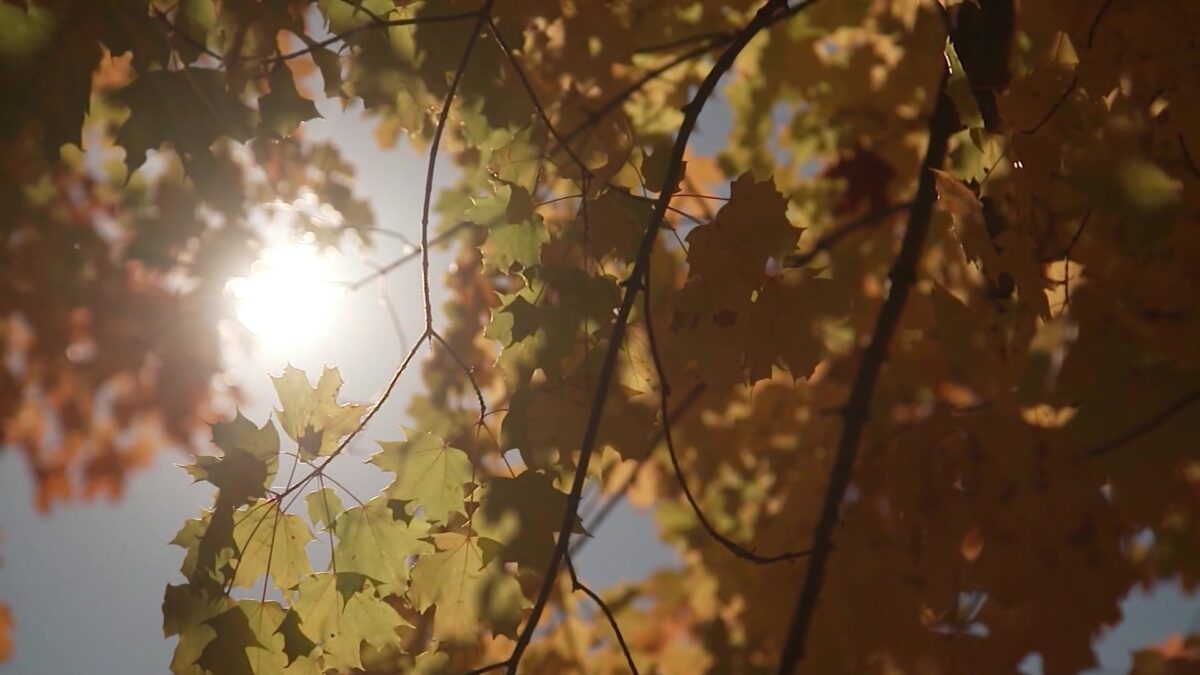 Fall arrives in St. Joseph