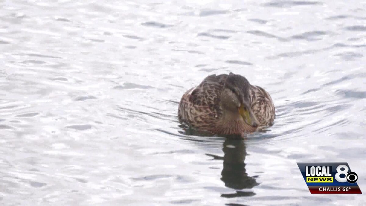 Addiction and mental health recovery festival coming up Friday