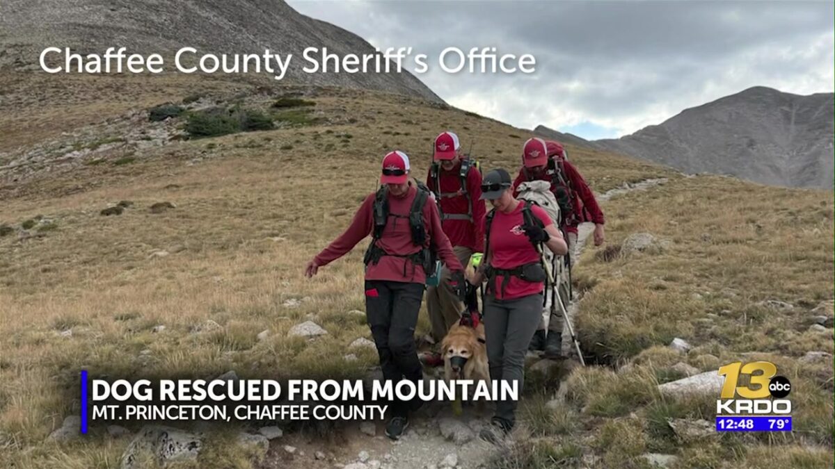 Dogs rescued from fourteener in Chaffee County for the third time this year