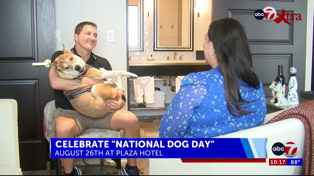 Plaza Hotel’s fun deal for your pets on Tuesday’s “National Dog Day”