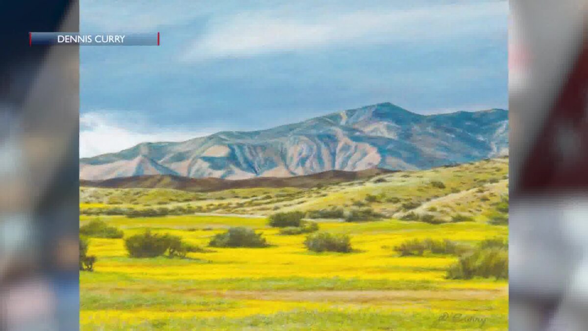 Art fundraiser aims to give back to Carrizo Plain wildfire restoration