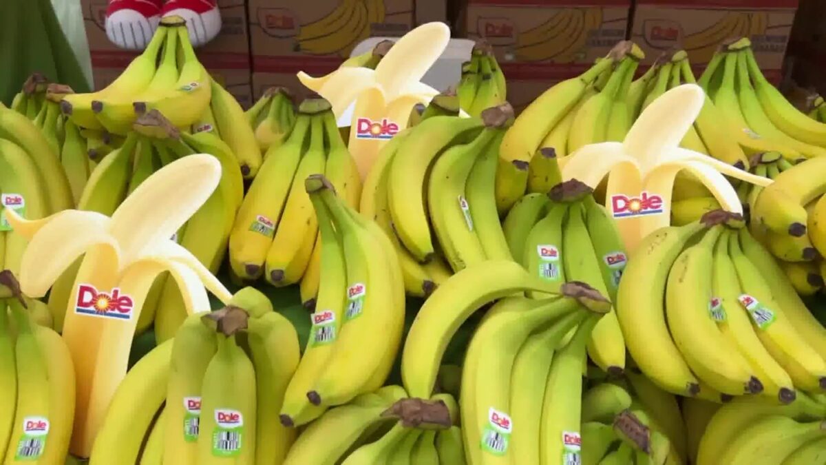 Port of Hueneme celebrates 12th Banana Festival