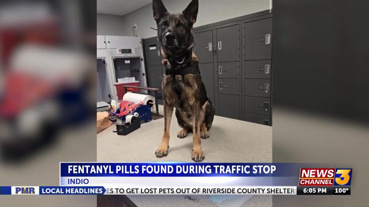 Indio PD discusses drugs in the community after fentanyl pills found in routine traffic stop