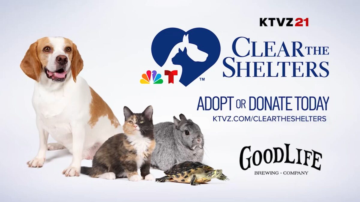 Clear the Shelters: Deschutes County Sheriff’s Office Animal Rescue Ranch has friendly farm animals looking for forever homes