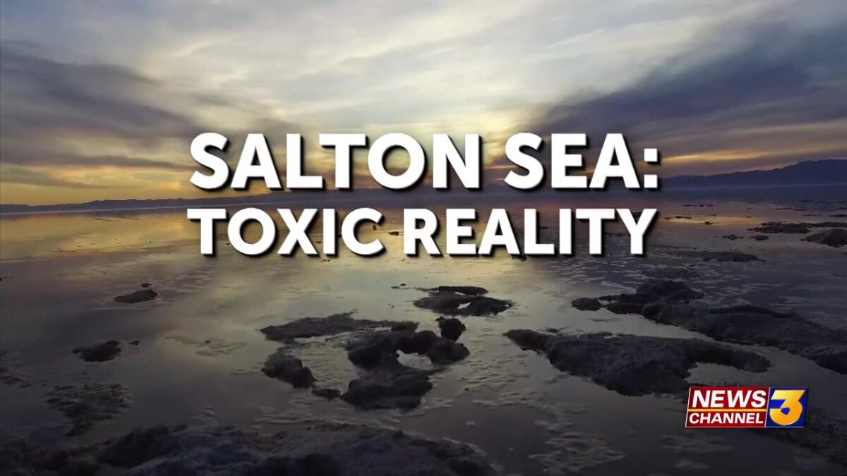 Salton Sea: Toxic Reality