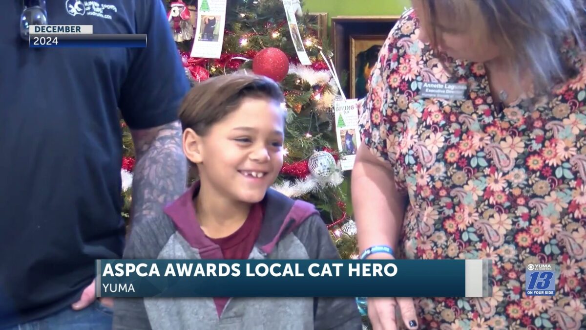 Yuma boy who rescued kitten honored as ASPCA Kid of the Year