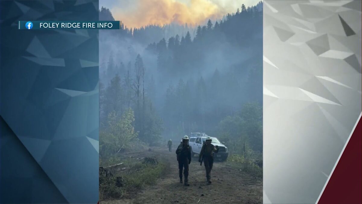 Foley Ridge Fire grows to 482 acres; Willamette National Forest expands closure area of trailheads