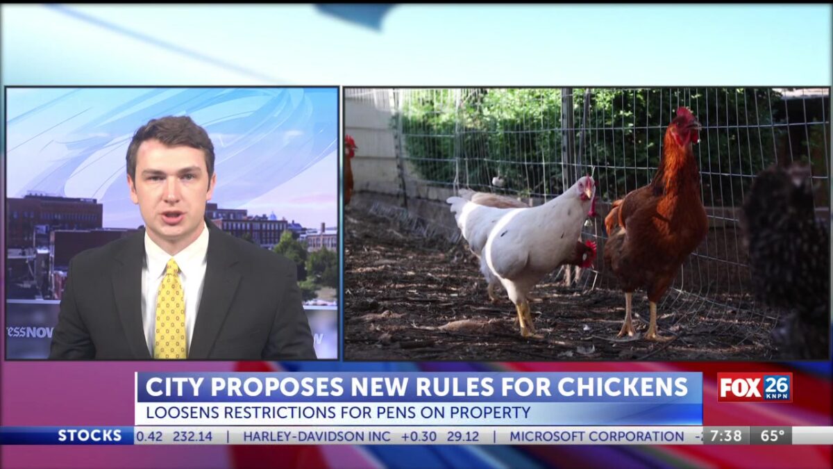 St. Joseph proposes new regulations for keeping chickens on private property