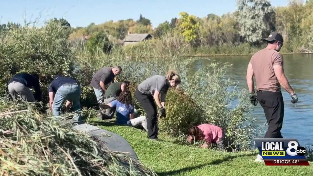 Melaleuca employees take time to clean up Idaho Falls Riverwalk