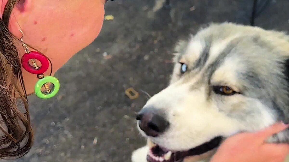 Training Tails: La Posada Launches Pet Program for Residents in Santa Barbara
