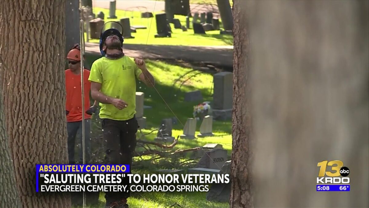 Arborists pay respects to vets at Evergreen Cemetery in community beautification project