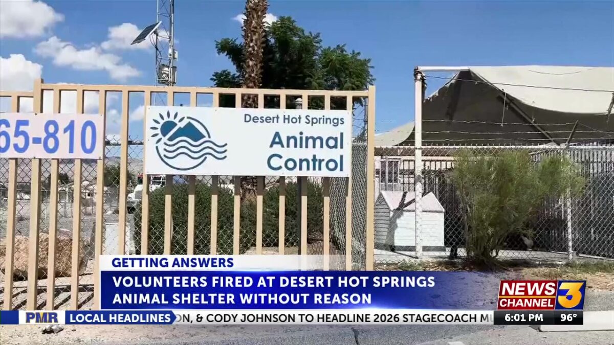 Volunteers at DHS animal shelter allege they were fired without reason under city management