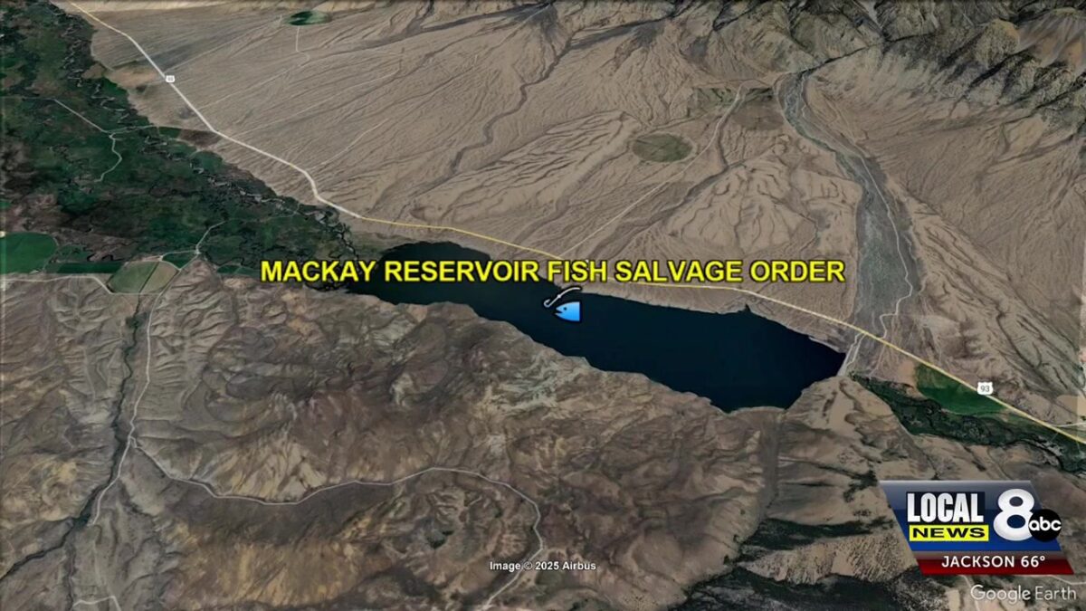 Idaho Fish and Game issues salvage order for Mackay Reservoir