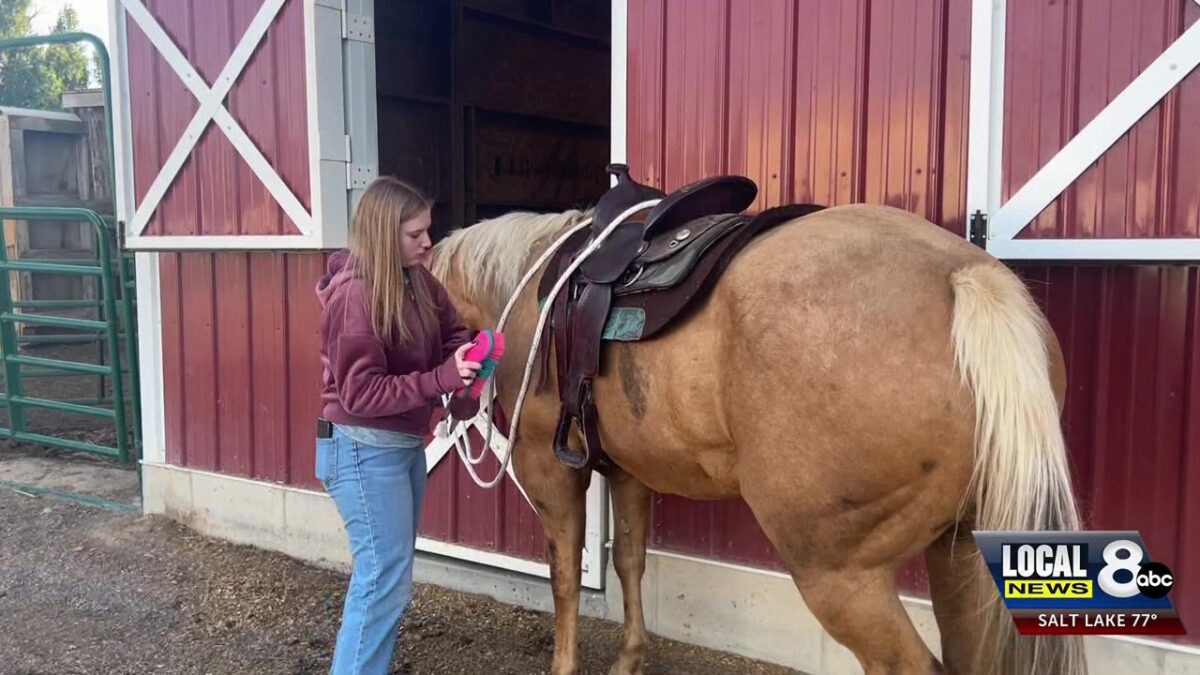 Pocatello horse-based therapy program hosting fundraiser event with celebrity guest Wednesday