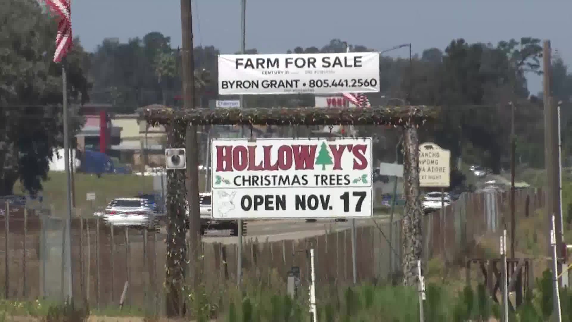 Owners of beloved Nipomo Christmas tree farm put property up for sale