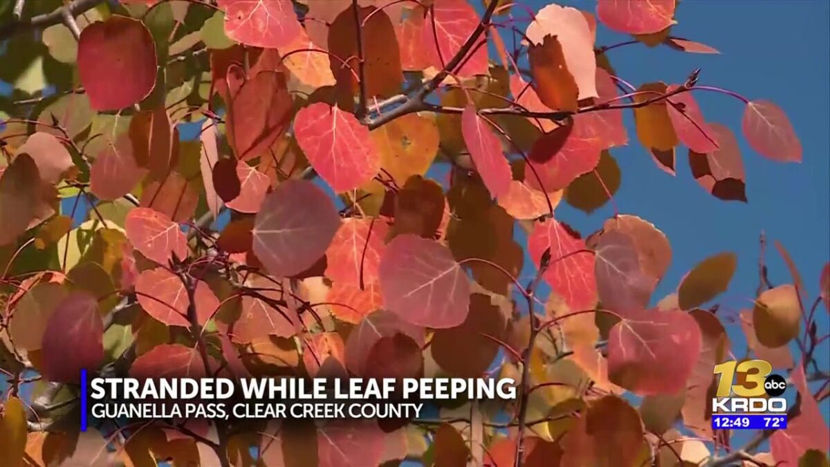 Planning to check out Colorado’s Fall colors? Here are the rules officials say you need to follow