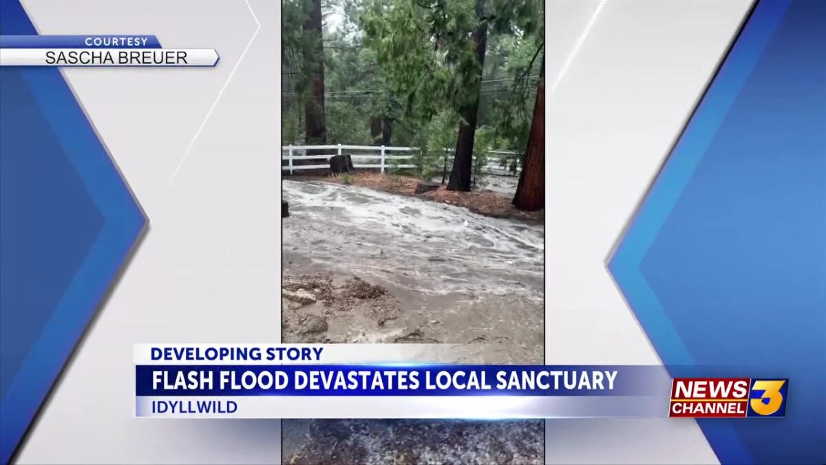 Idyllwild sanctuary faces recovery after devastating flash flooding