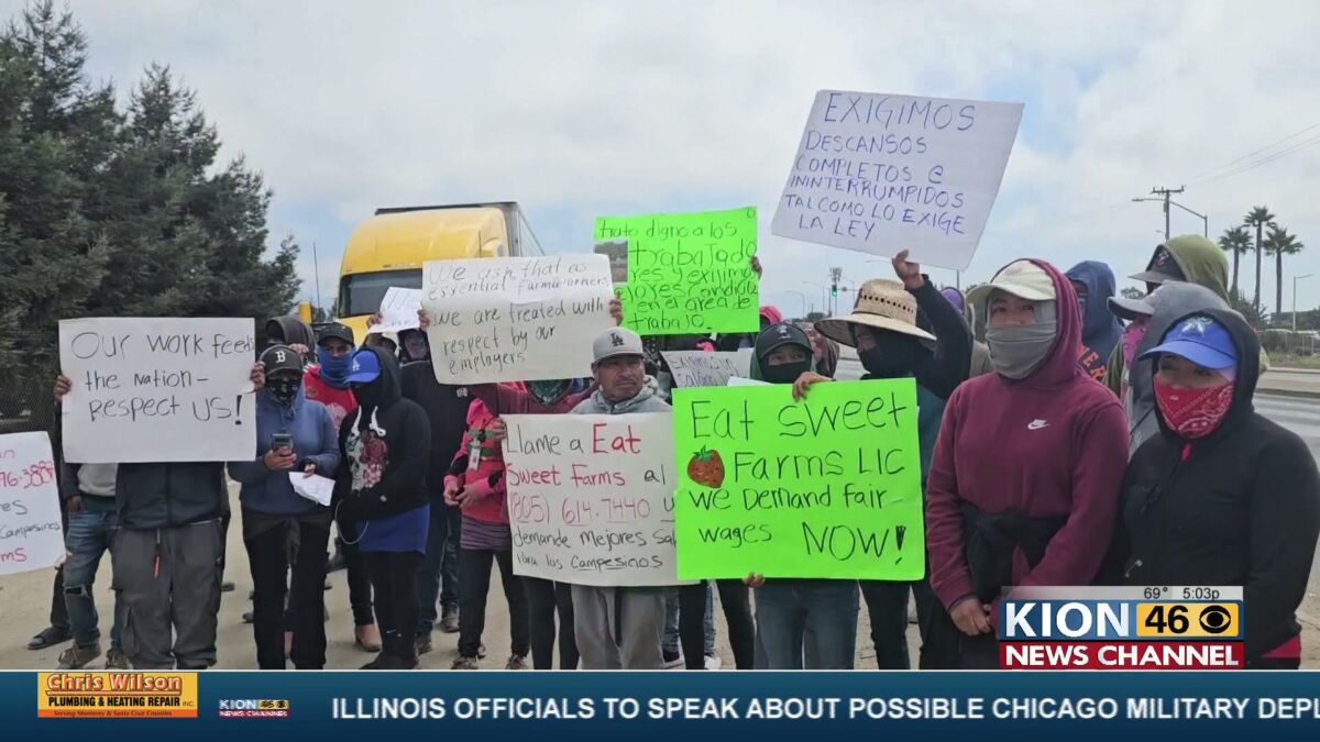 Salinas and Watsonville agriculture worker strike continues