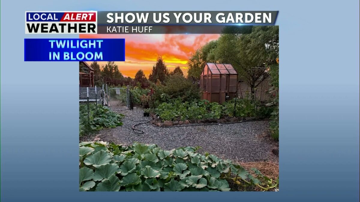 Show Us Your Garden