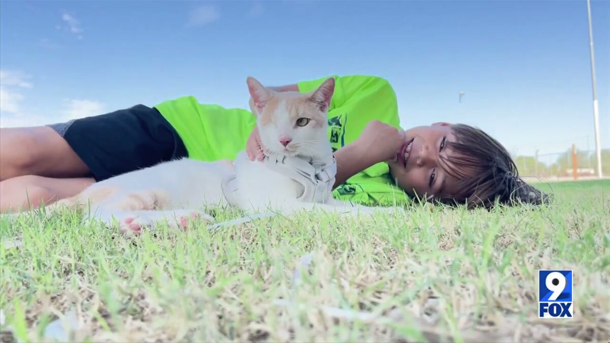 Local hero named “Kid of the Year” after rescuing & adopting bullied cat