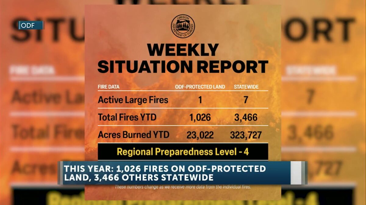 Oregon Department of Forestry: Acres burned across Oregon down significantly compared to 2024