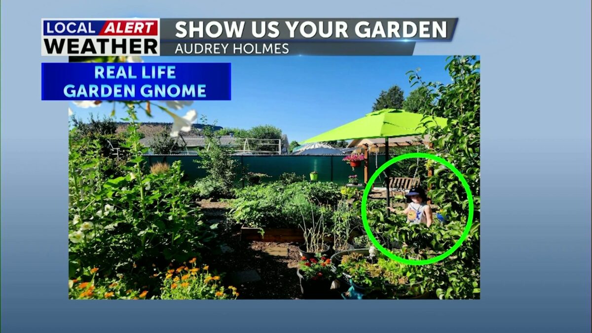 Show Us Your Garden: Today