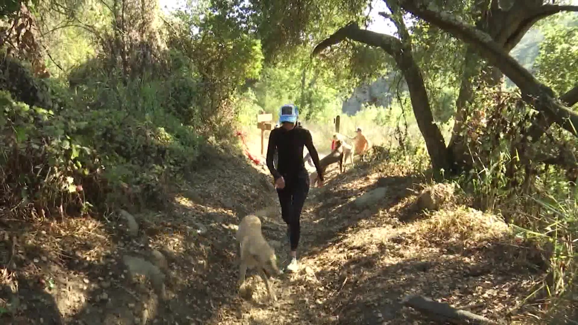 San Ysidro Trail Welcomes Hikers Following Repairs
