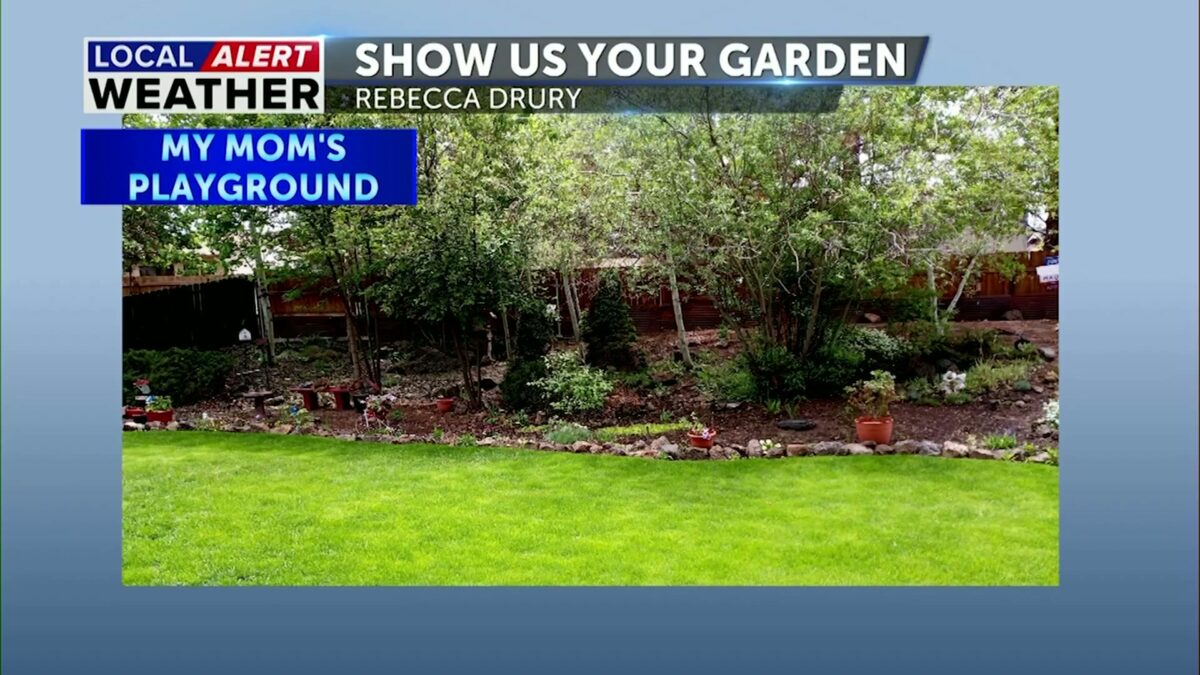 Show Us Your Garden:  a variety of plants and veggies this week