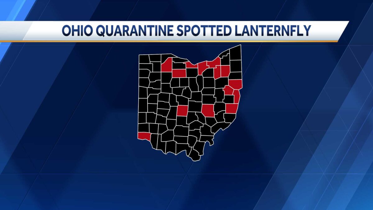At least 18 counts in Ohio