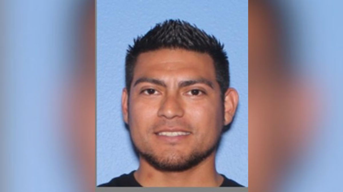Suspect in Somerton murder found dead